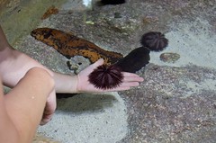 Bermuda Aquarium & Zoo - 28