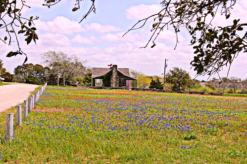 park blue orange usa floral field clouds landscape eos countryside texas meadow logcabin woodenfence wildflowers growing independence hdr bluebonnets texasflag puffyclouds fieldofdreams vividcolors texaswildflowers lonestarstate washingtoncounty oldbaylorpark eos60d picmonkey