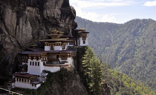 Tigers nest front