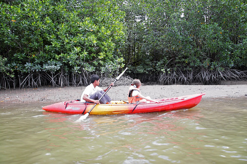 Kayaking in the mangroves, Phuket