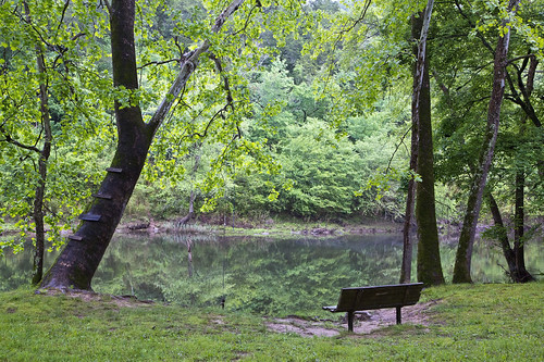 trees lake tree water canon bench eos spring woods ar arkansas cossatot cossatotriver canoneos5dmarkiii 5dmarkiii cossatotreefs gillhamlake
