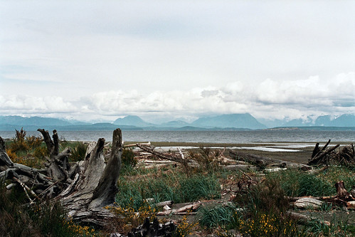 canada film analog britishcolumbia vancouverisland driftwood praktica campbellriver straitofgeorgia blackcreek prakticabcc salmonpoint