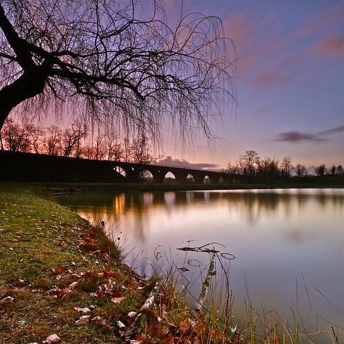 bridge lake reflection tree silhouette sunrise viaduct resevoir boulognesurgesse
