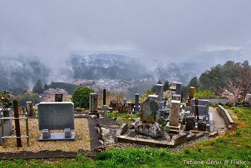 cemetery japan fog clouds japanese shrine headstones graves summit cherryblossom yoshino yoshinoyama oloneo