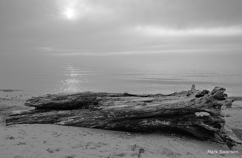 sunset bw sun white lake seascape black beach nature clouds outdoors sand nikon waves michigan driftwood d5100