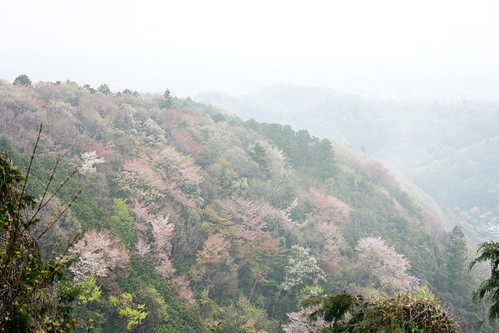 Mt.takao in spring ,2012 