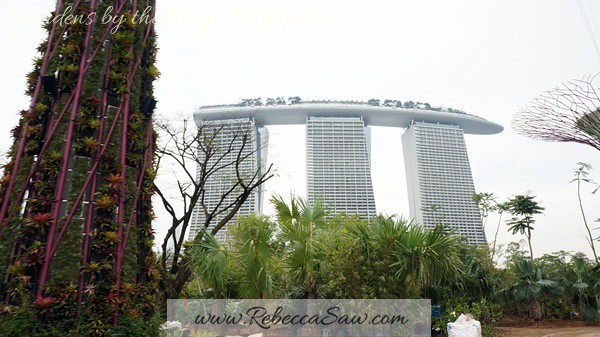 gardens by the bay, singapore (36)