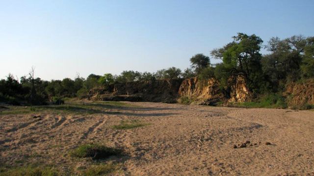 Timbavati Wildlife Park in South Africa