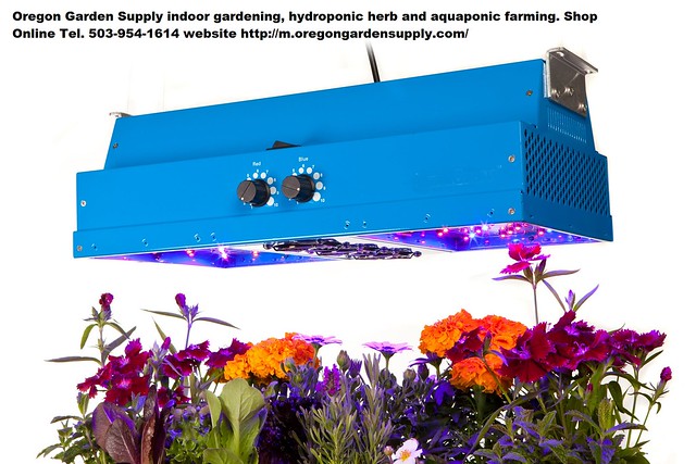 Hydroponic Gardening Supplies Online Download Aquaponics Plans