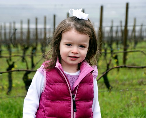 cropped mady madelyn 2012 oregon travel spring winecountry pete pete4ducks peteliedtke 500views
