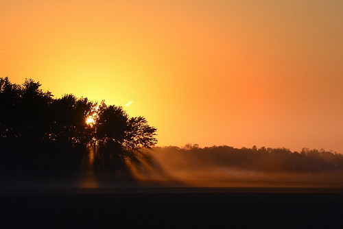 trees sunset sun ontario canada silhouette gold spring farmland elgincounty cmwdorange nikonflickraward