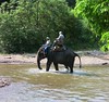 THAILAND-N, Elefantencamp Maetaman , Ausritt - durch den Fluß  , 20