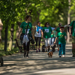 2016 Walk with dogs