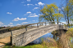 Wooden bridge in North Bay Park / 北灣公園的木橋
