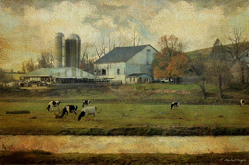 texture barn rural painting pennsylvania farm country amish lancaster