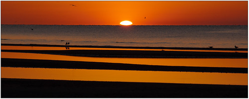 orange sun birds sunrise mississippi waveland rise