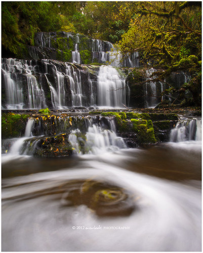 autumn newzealand leaves landscape photography waterfall moss stream falls whirlpool foam dee catlins purakaunui mohua everlook catlinsvalley