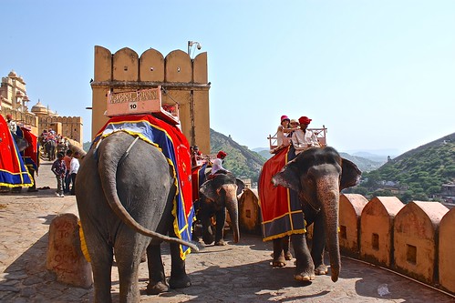 elephants on parade