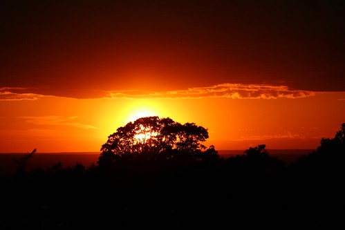 sunset sky orange color tree beauty silhouette clouds horizon reds