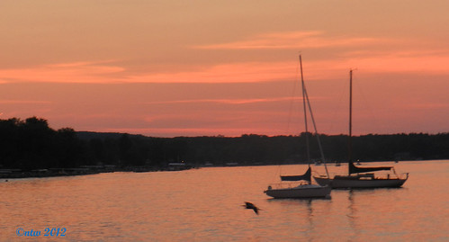 pink sunset heron boats nikon chautauqua chautauquainstitution coolpicp