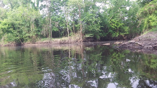 Ward Creek (right) at Bayou Manchac