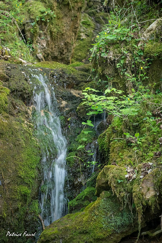 nature 30 sony vert cascade chemin gard randonnée cévennes stlaurentleminier sonya57