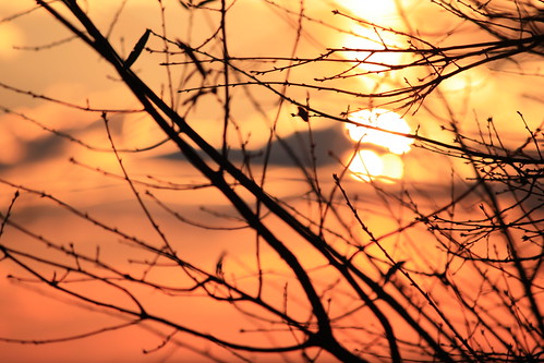 sunset sun nature rio maryland gaithersburg fieldsroad