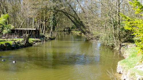 france river centre rivière loiret lessonne augervillelarivière
