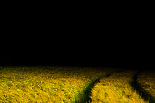 road france field night rural way back corn flickr track gallery path walk farm wheat country grain pass trace award bretagne line lane exploitation brest land range campaign campagne nuit ferme chemin champ tracteur fizz finistère blé purview plabennec flickrawardgallery