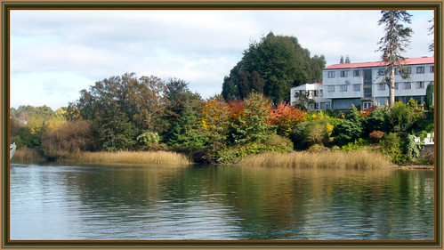 chile rio colores otoño valdivia silviaog islatejas