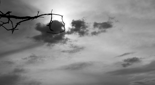 light sunset bw clouds branch grab tamron1750mm canon550d