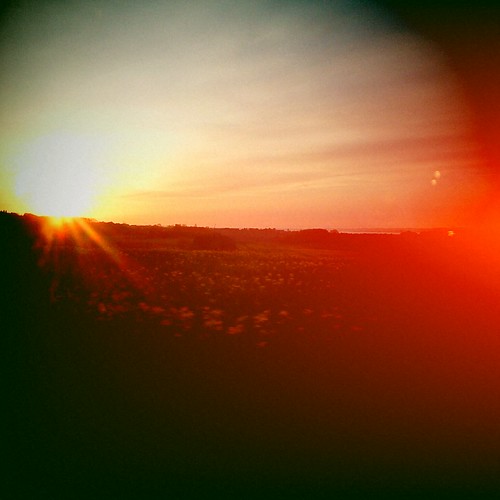 sky sun field sunrise lens denmark flare danmark aarhus rapeseed
