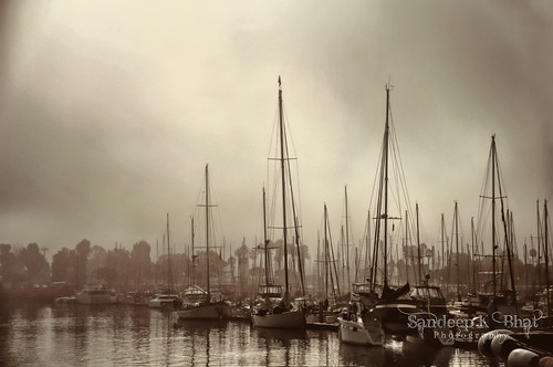 fog boats dawn harbor nikon silhouettes yachts masts ventura d90