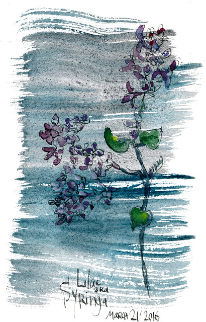 Sketchbook #95: Lilac