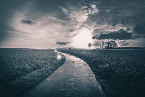 road light sunset sky bw sun sunlight france tree nature clouds landscape path horizon country happiness flare fields campaign