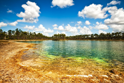 park pine landscape pond key long florida national everglades