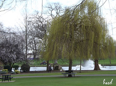Abbey Park fountain from the weir!