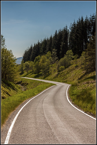 road trees scotland winding borders thelongandwindingroad hawick newcastleton theroadtonowhere