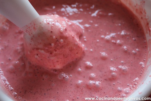 Helado de fresas y yogur (6)