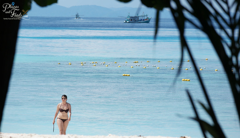 tachai island bikini girl single