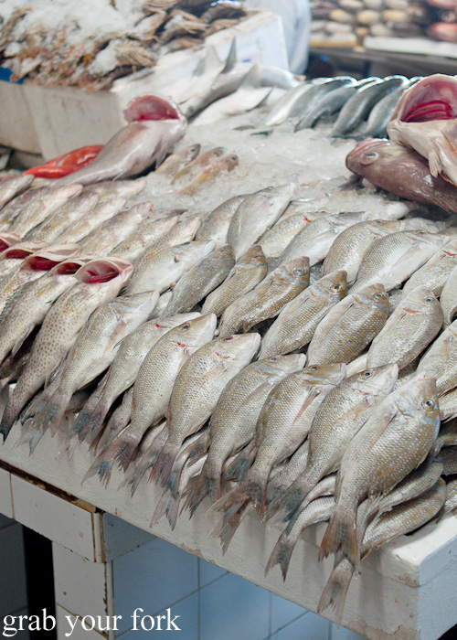 Neatly stacked fish at Dubai Fish Market in Deira