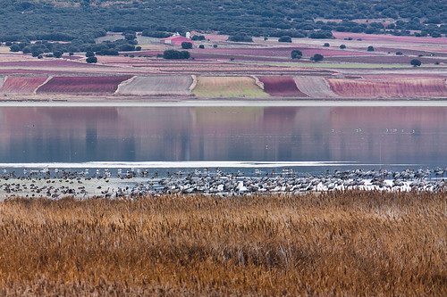 landscape countryside spain crane lagoon zaragoza aragon gallocanta 450d 55250is