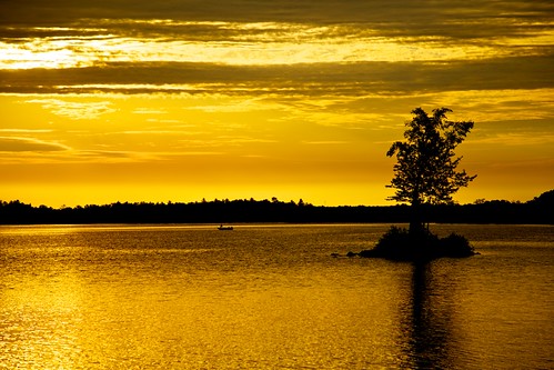 morning trees sky orange sun lake ontario canada silhouette yellow clouds sunrise crowe