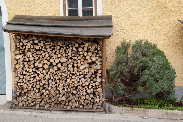 很多地方都會蒐集木柴，推測是冬天生火取暖用的？