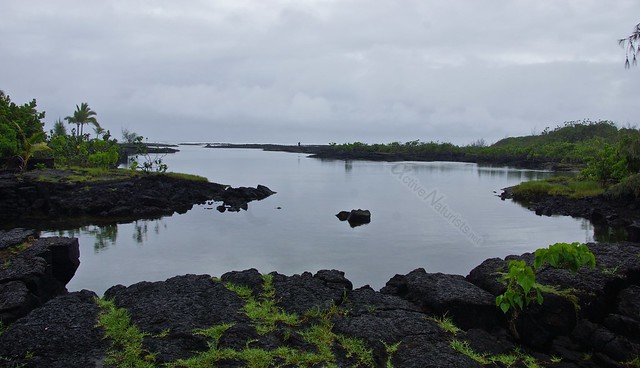 view 0000 Kapoho tide pools, Hawaii, USA