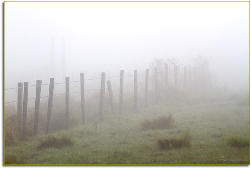 fog landscapes professionalphotographer photoworkshops phototours dinnerislandwma wildlifemanagementareas phototourguide jmwnaturesimagescom audiovisualphotopresentations
