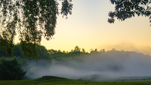 morning trees mist green fog sunrise dawn pentax goldenhour daybreak pentaxk3