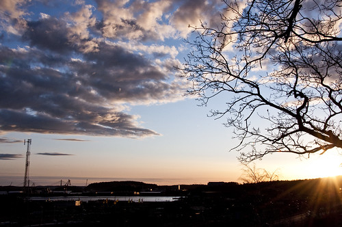 sunset sea sky tree water backlight clouds skies sweden bohuslän uddevalla