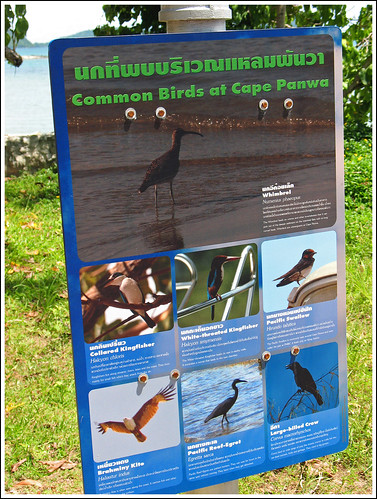 Sign about birds at Phuket Aquarium