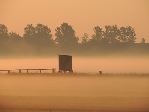 morning mist fog day natur morgenstimmung sabine1955
